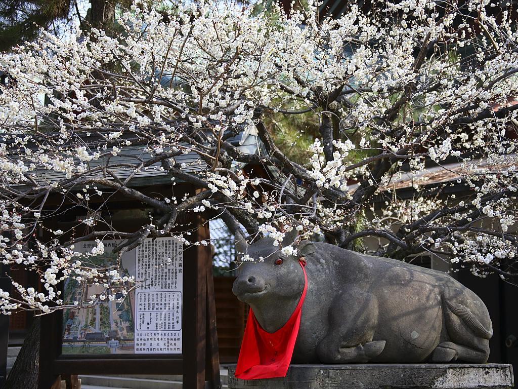 Guesthouse Iloha Kyoto Bagian luar foto